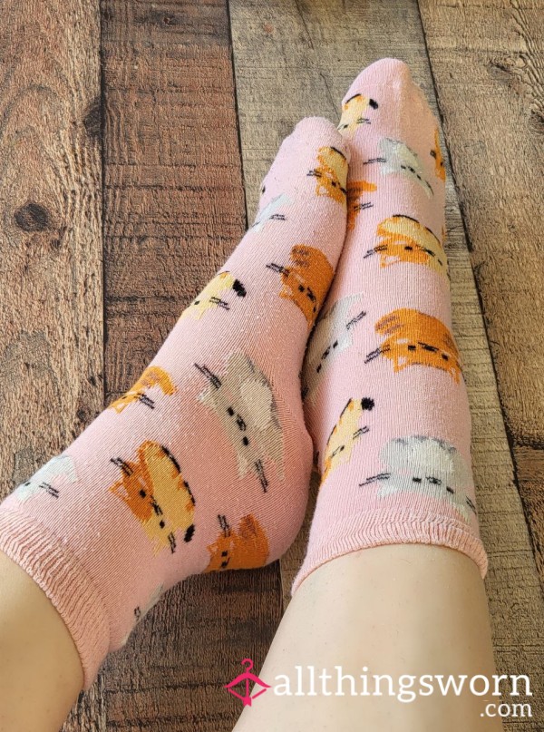 Pink Kitty Socks