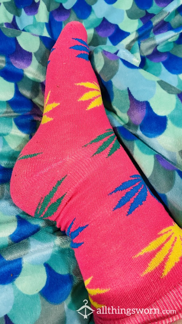 Pink Pot Socks