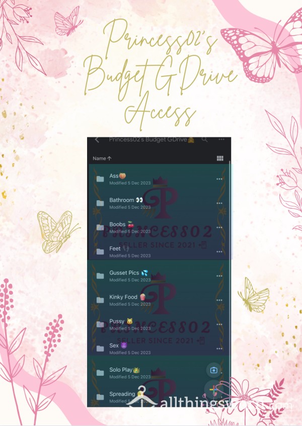 👑Princess02’s Budget GDrive Access👑