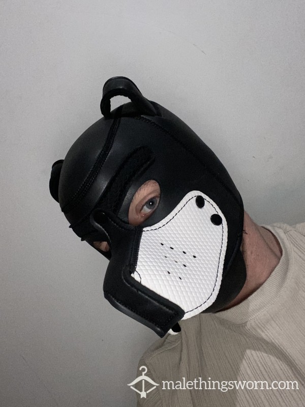 Pup Play Mask