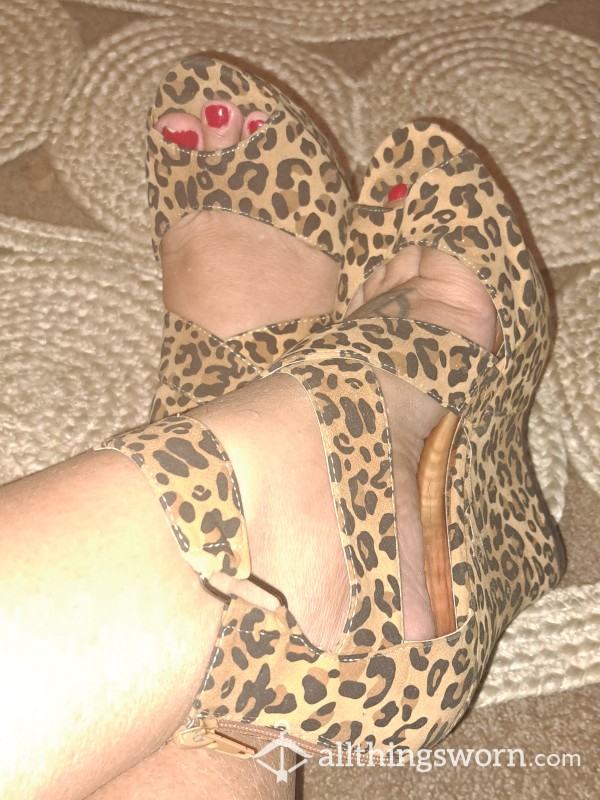 Purrrrfect Heels