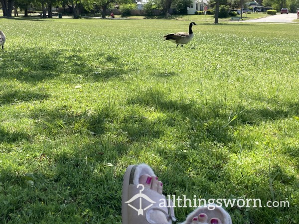 Putting On My Comfy Slippers At The Park After Removing My Stinky Running Shoes