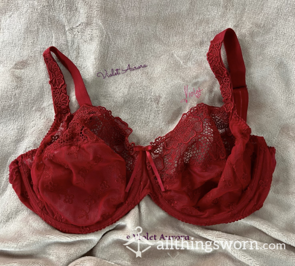 Dark Red Lace Mesh Bra