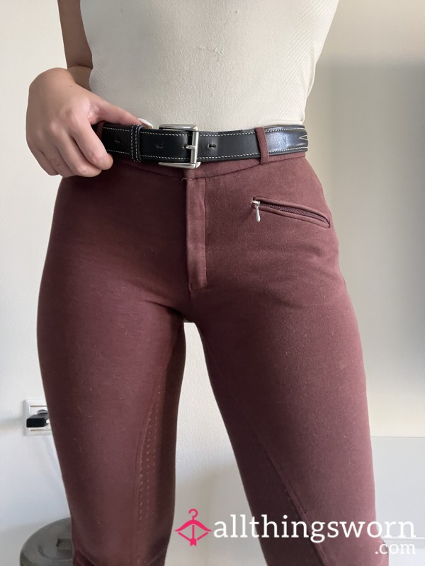 Riding Breeches