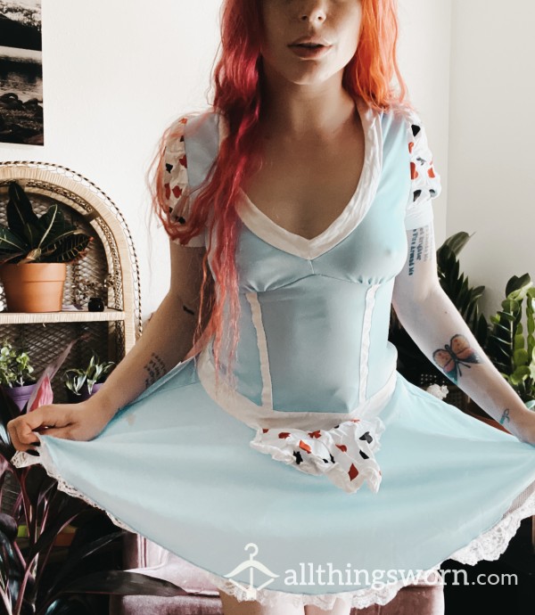 S**y Alice In Wonderland Dress Costume