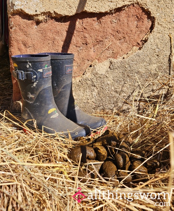 Size 38 Farm Boots. Mucking Out Stables, Worn Every Day For 2 Years. They Are Even More Spicy In Summer When I Wear Them Without Socks!