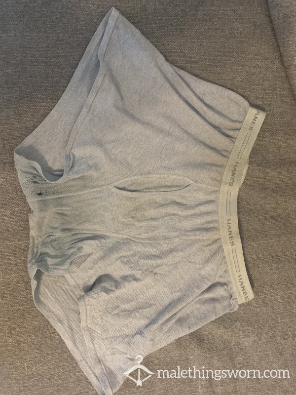 Well Worn Hanes Boxer Briefs