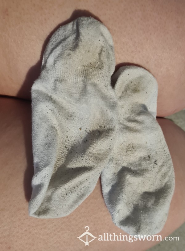 30c Heat Trainer Socks - BBW