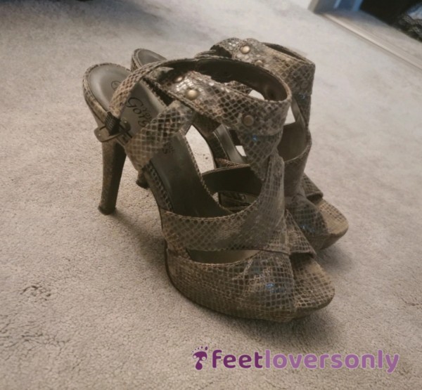 Snakeprint Well Worn Heels