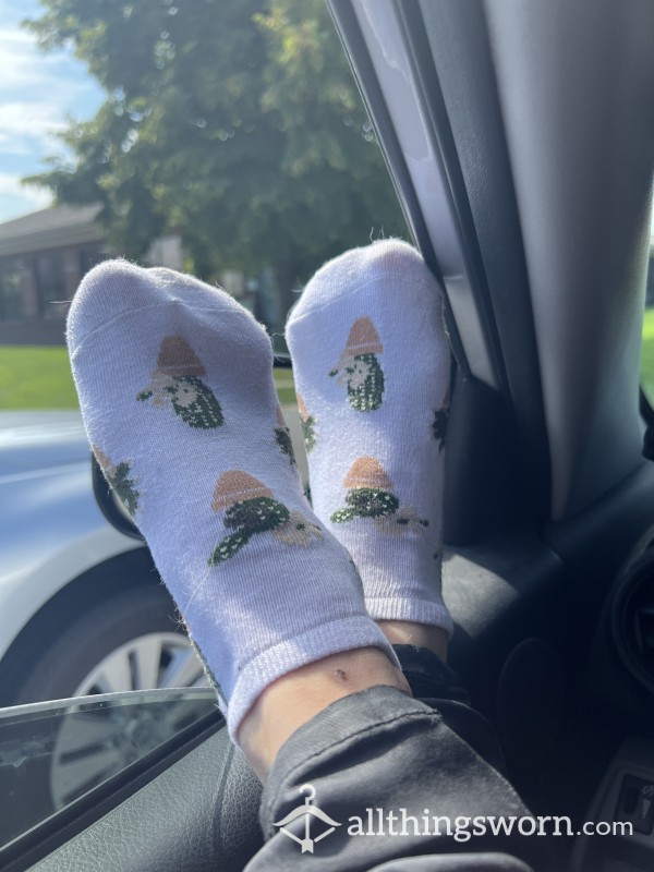 Succulent Socks