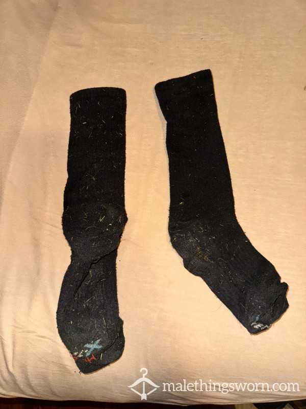 Super Stinky And Gross Sweaty Outdoor Socks