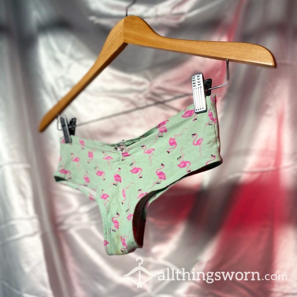 VS Super Used Flamingo P**l Party Panties - Very Worn, Stained