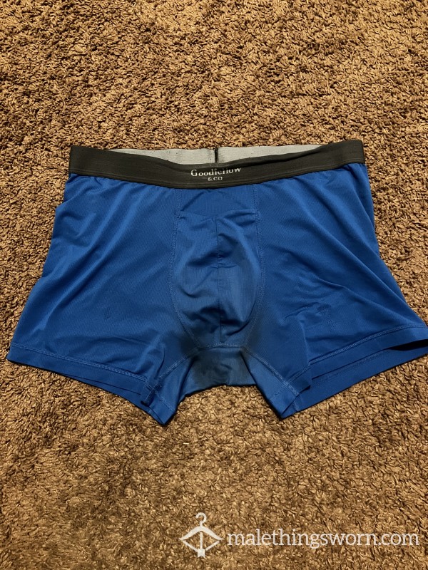 Sweaty Blue Polyester Briefs