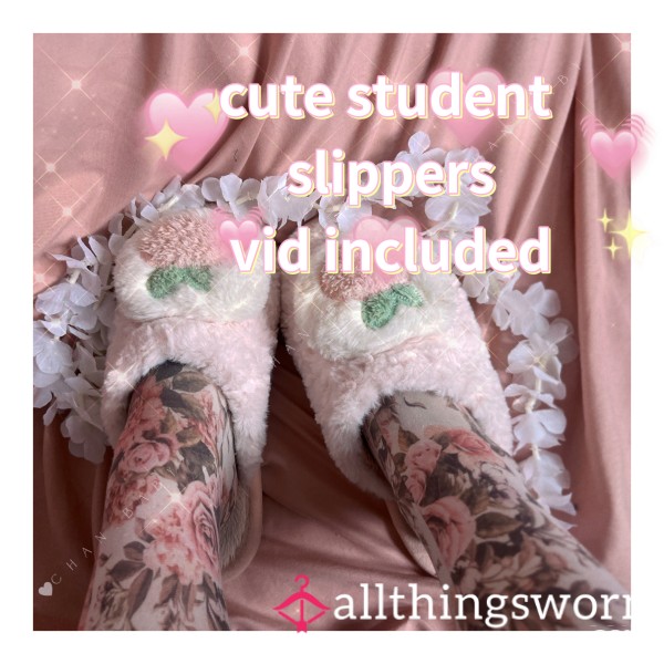 Sweet Student Peach Slippers, 4 Day Wear, Includes 3m Vid, Vacuum Seal