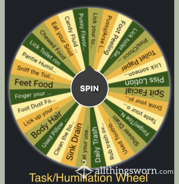 Task And Humiliation Wheel 💥