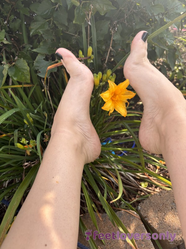 The Flower Beneath My Soles