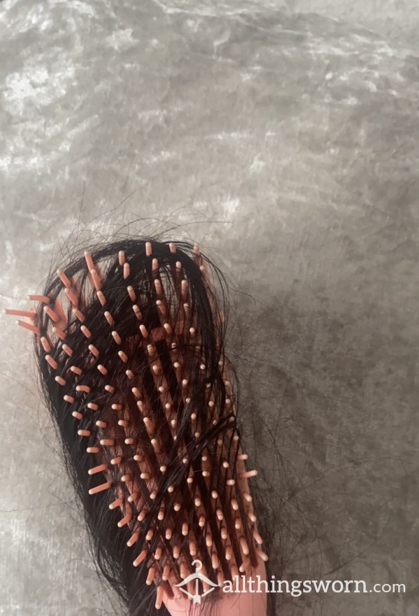 Used Hair Brush