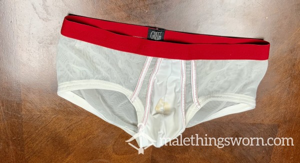 Used Pi*s Stained Gregg Homme Nylon Mesh Briefs