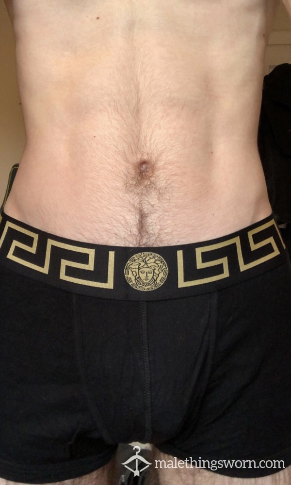 Used Versace Grecca Trunks