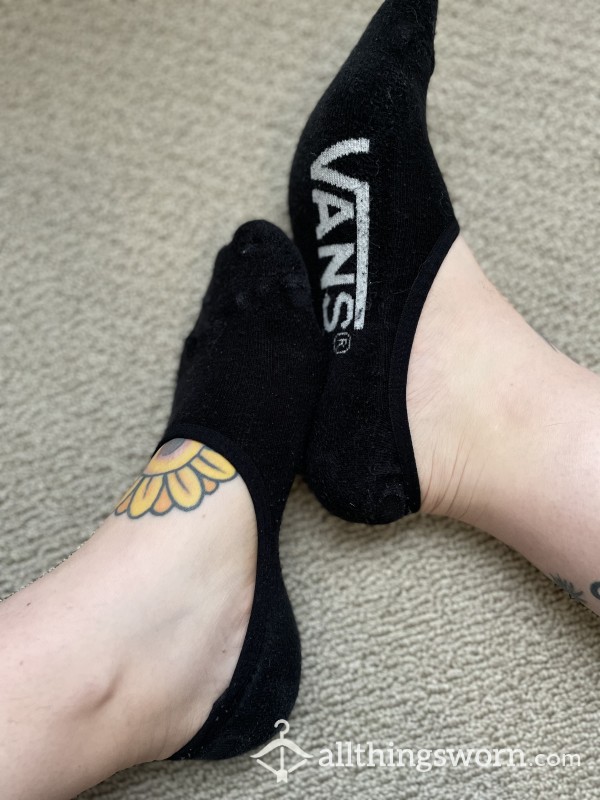 Vans No-show Old Socks