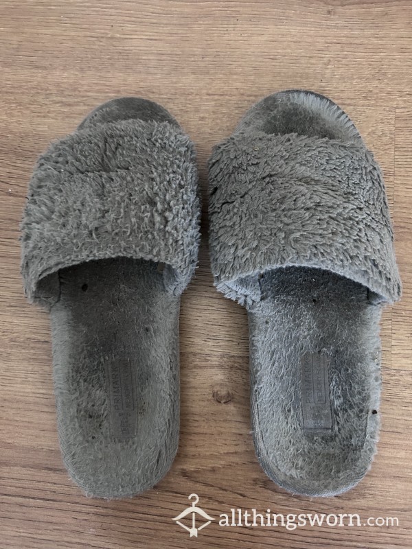 Very Well Worn Slippers