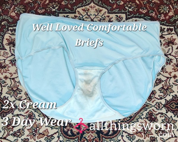 Well Loved 3 Day Wear 2x Cream Pie Light Blue Briefs