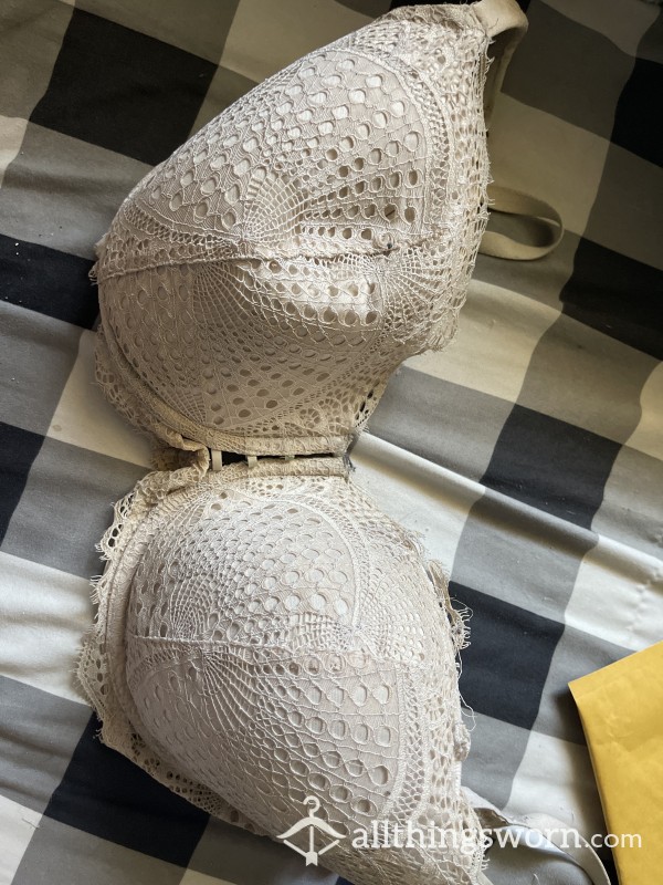 Well Loved 38DD Bra