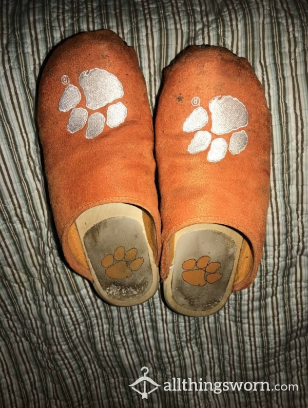 Well Loved Wooden Clogs Shoes