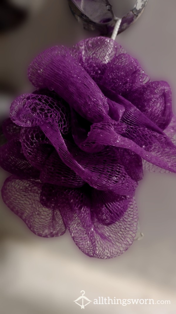 Well Used Purple Loofah