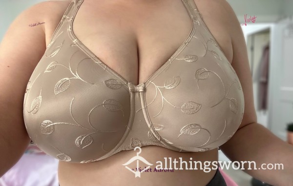 Well Worn Beige Satin Bra