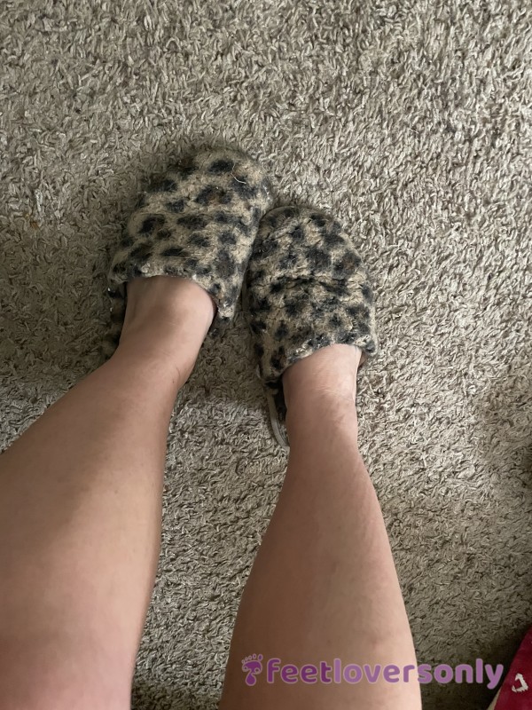 Well Worn Cheetah Print Slippers