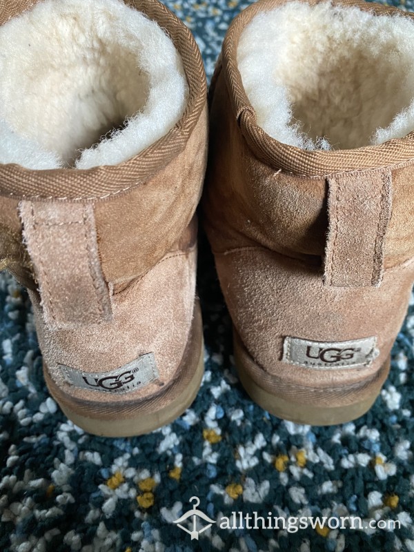 Well-worn Chestnut Uggs