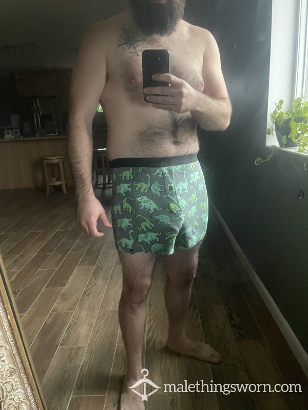 Well Worn Dino Boxers