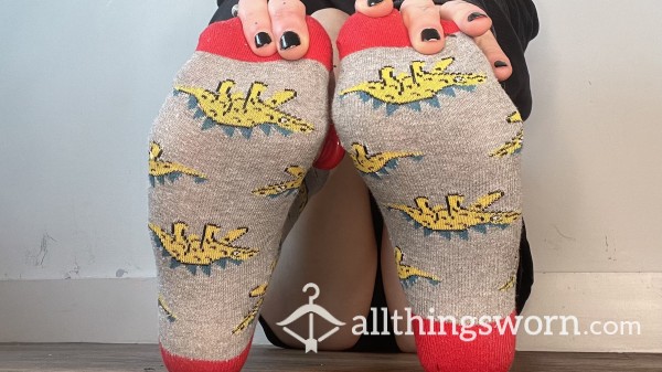 ❤️ Well Worn Dino Socks ❤️