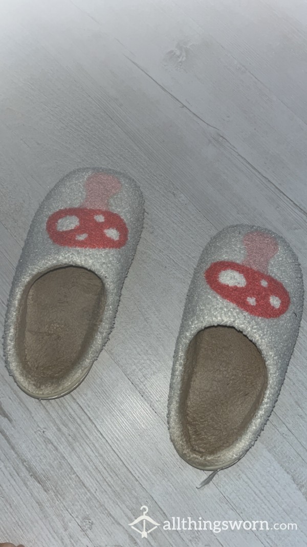 Well Worn Mushroom Slippers