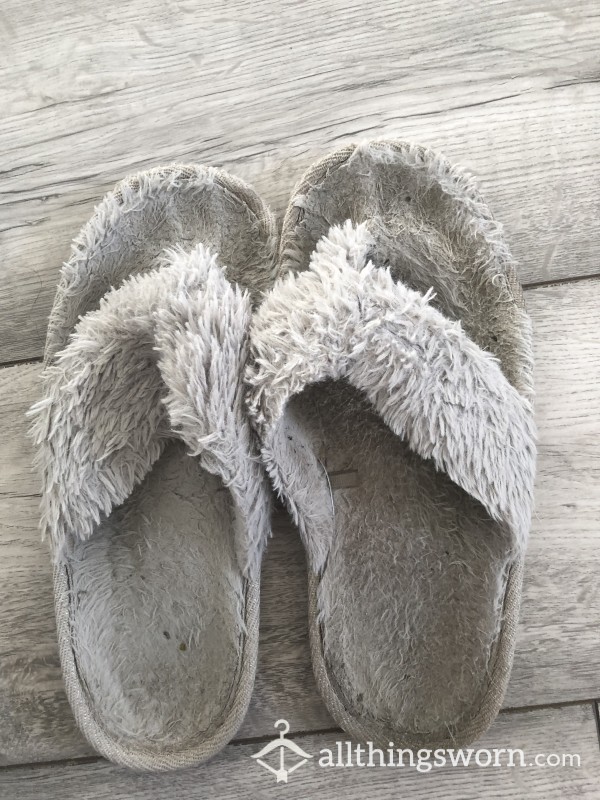 Well Worn Slippers