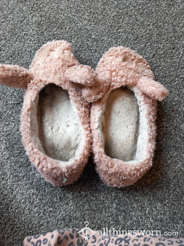 Well Worn Slippers