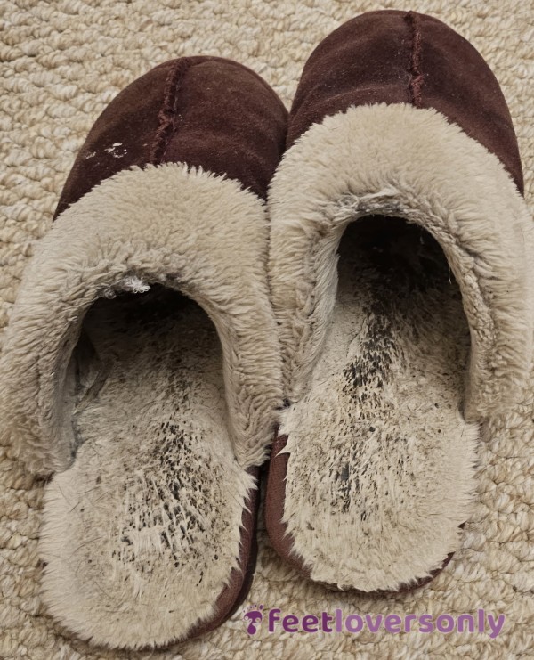 Well Worn Slippers