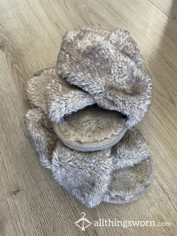 Well Worn Slippers