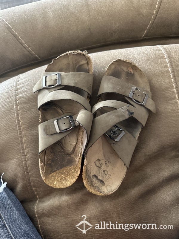 Well Worn Slippers