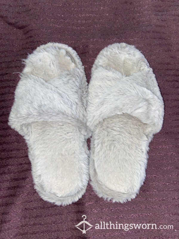 Well Worn Slippers