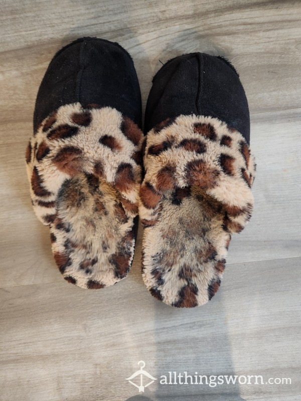 Well Worn Slippers