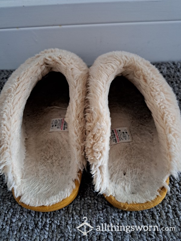 Well Worn Slippers