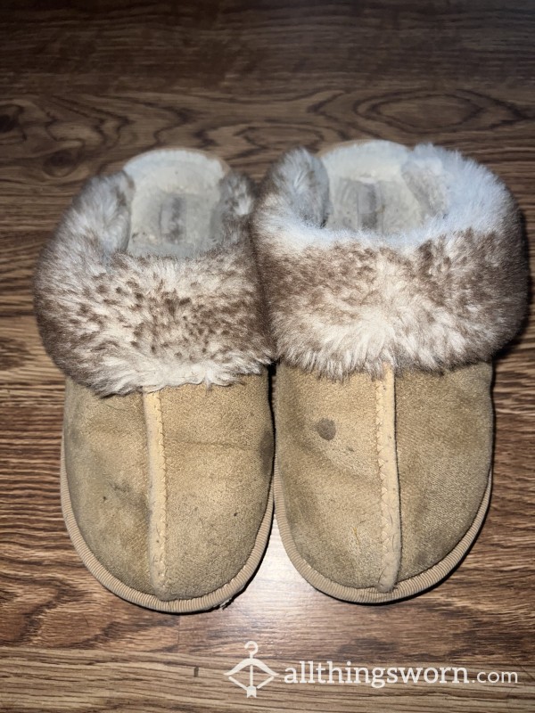 Well Worn Slippers