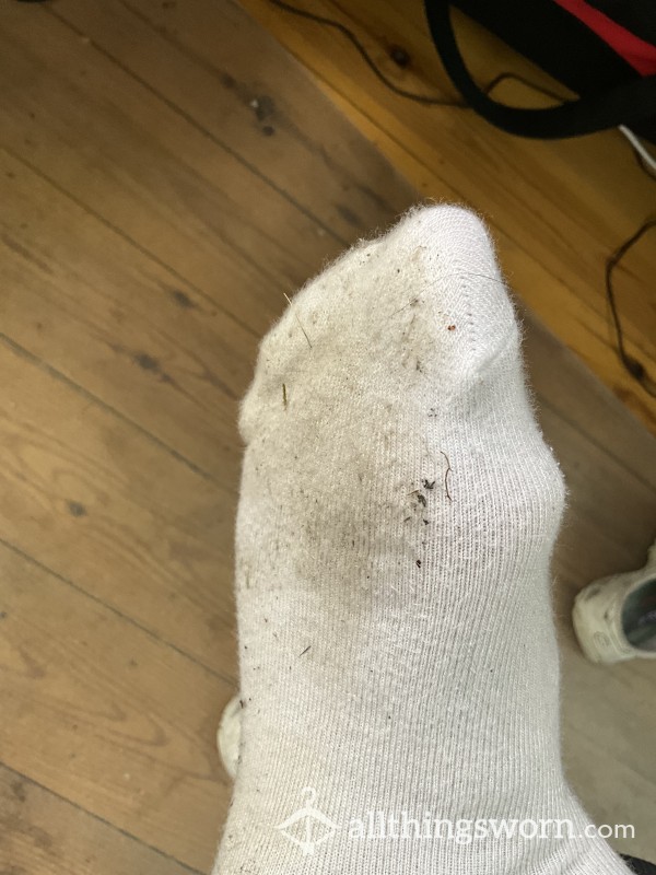 Well Worn Socks