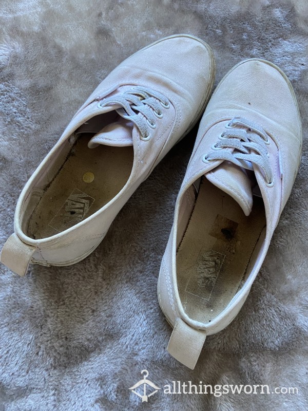 Well Worn Stinky Vans