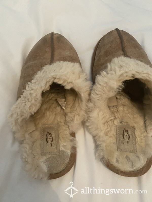 Well Worn Ugg Slippers