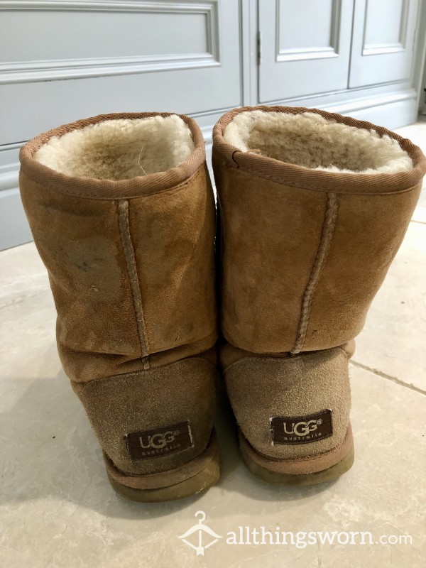 CLEARANCE 🔥 Well Worn Uggs