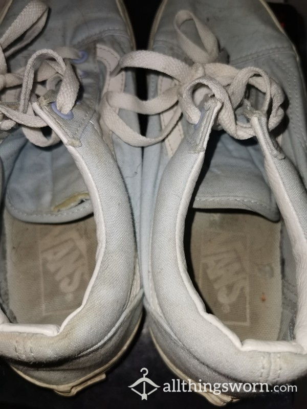 Well Worn Vans