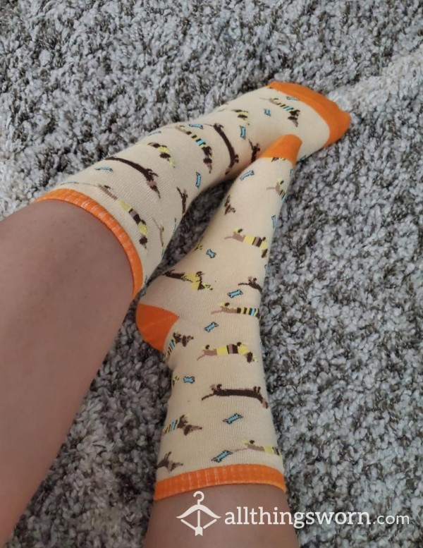 Wiener Dog Socks!